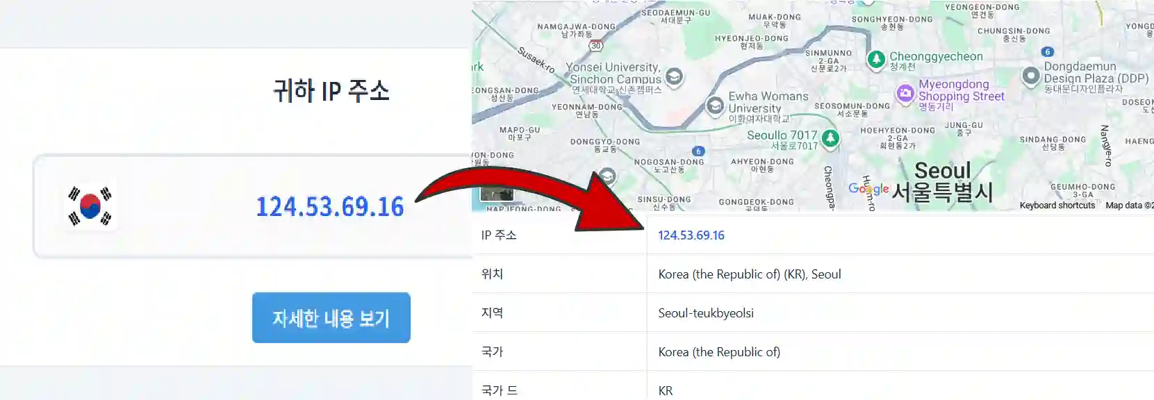 IP 주소 확인