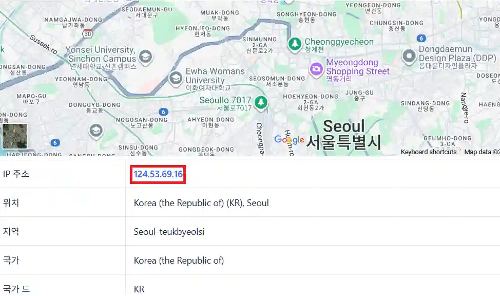 IP 주소 조회